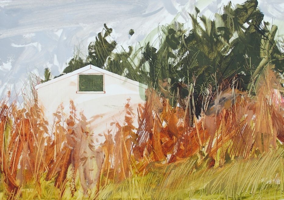 (Now Demolished) Shed and Fireweed
